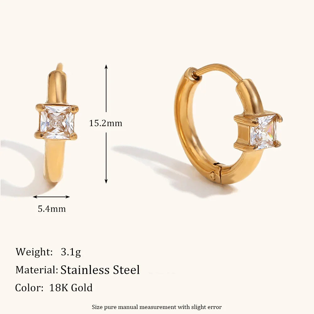 Glossy Earrings