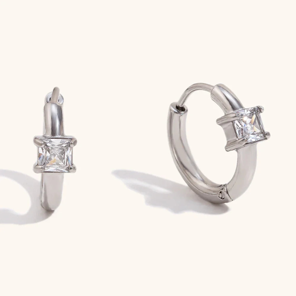 Glossy Earrings