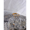 Minimal Gold Bead Bangle Ring