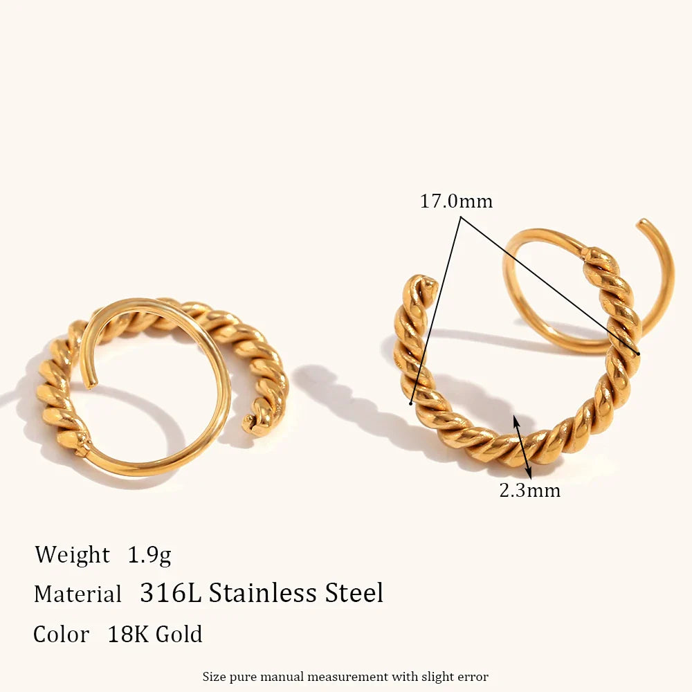 Twisty Hoop Earrings